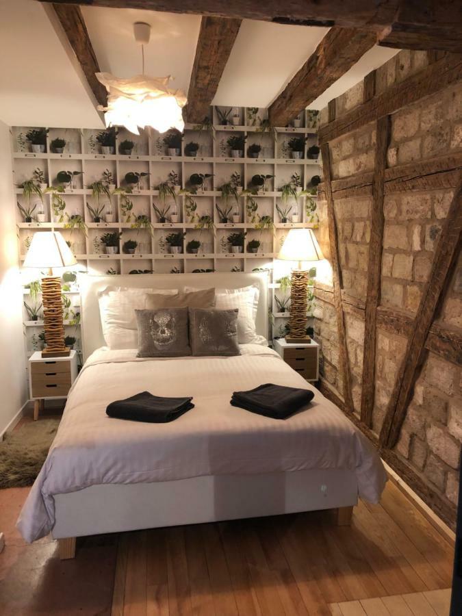 Carpe Diem Home - Au Pied De La Cathedrale Strazburg Dış mekan fotoğraf